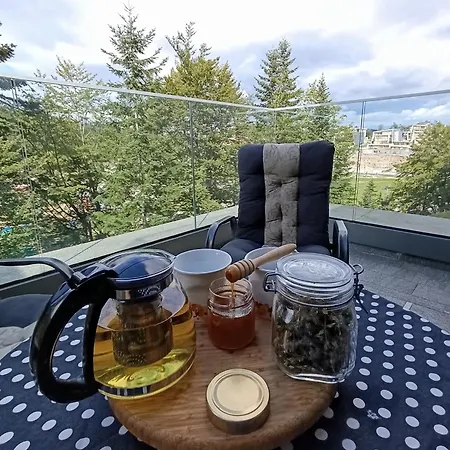 Planinski Mir Apartamento Bjelašnica